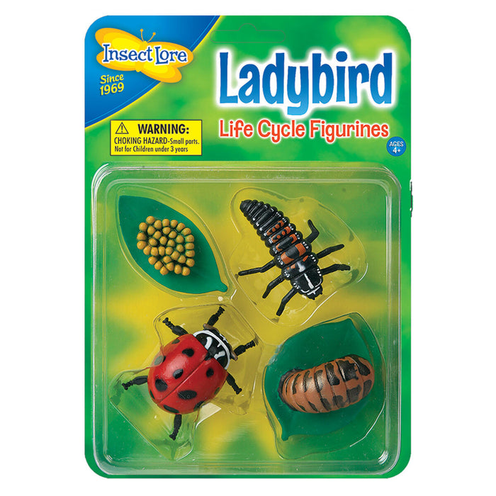 Insect Lore Ladybird Life Cycle Figurines
