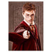 Panini From the Films of Harry Potter Evolution Trading Cards Booster Fat Pack