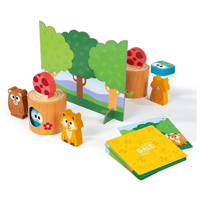 Galt Memory Friends Game