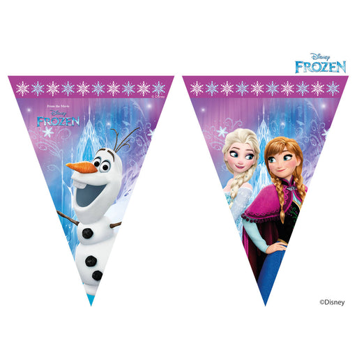 Disney Frozen Banner