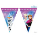 Disney Frozen Banner