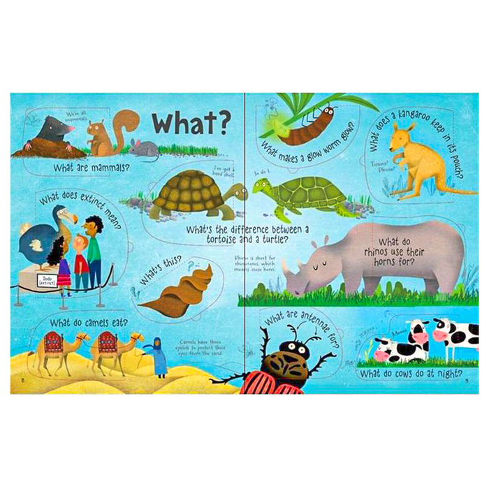 Usborne Questions and Answers about Animals Lift-the-Flap Book