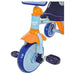 Bluey My First Trike