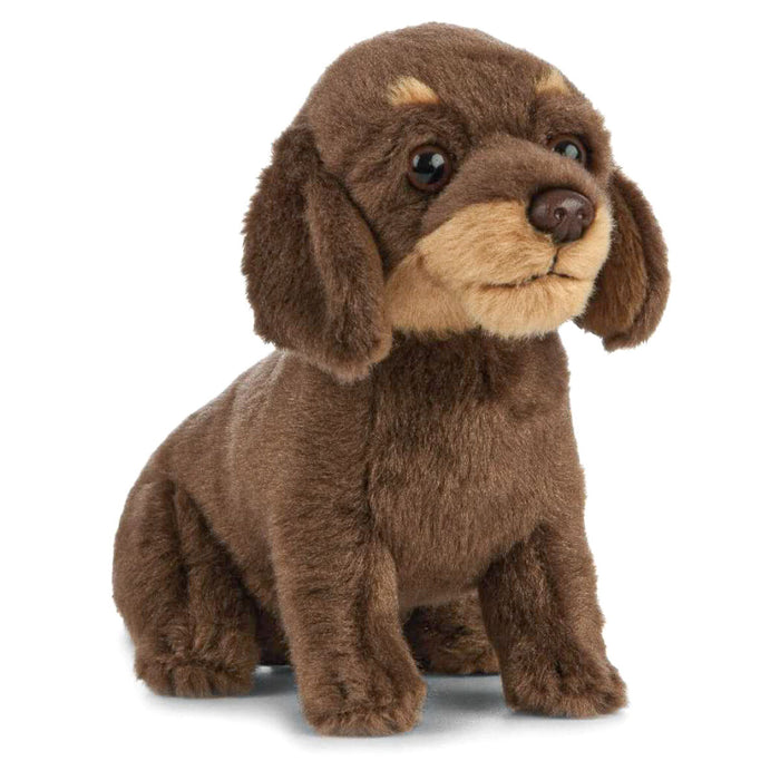 Living Nature Dachshund Puppy 19cm Soft Toy
