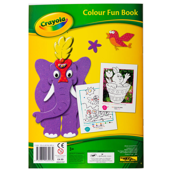 Crayola Activity Book