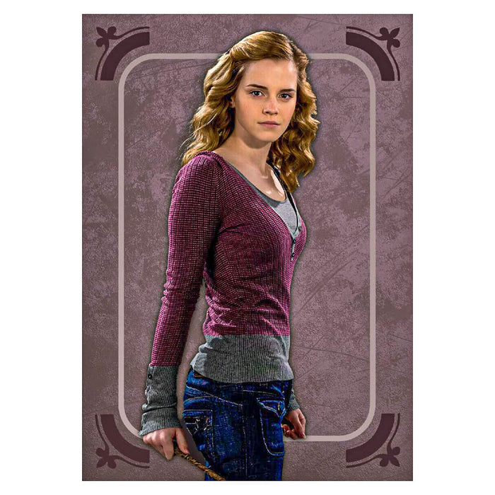 Panini From the Films of Harry Potter Evolution Trading Cards Collector's Tin styles vary