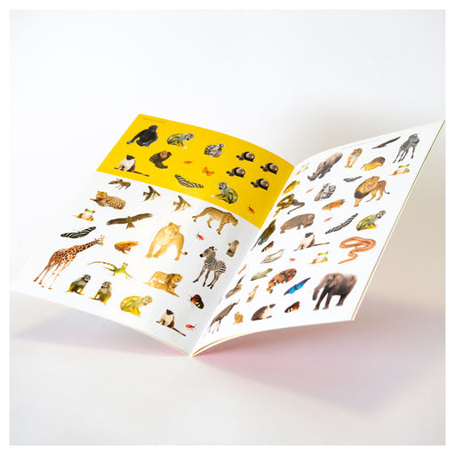 Amazing World In The Wild sticker Book