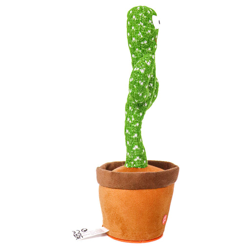 Dancing Cactus 
